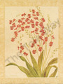 Red Begonias (8x10)