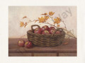 Winesap and Maples (16x20)