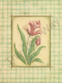 Gingham Tulip (16x20)