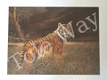 Splendor in the Grass (16x20) (Tiger)