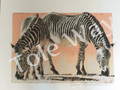 Zebra Safari (16x20)