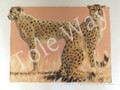 Serengeti Cheetas (16x20)