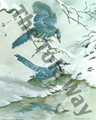 Blue Jays in Snow (8x10)