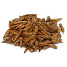 Balm of Gilead Buds - 1 oz.