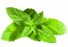 Spearmint Essential Oil