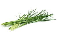 Vetiver Essential Oil