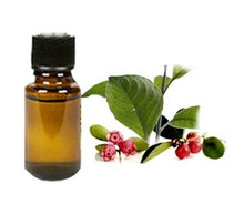 Wintergreen Essential Oil