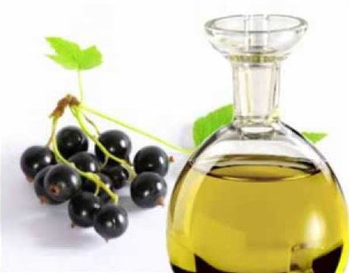 Black Current Seed Oil
