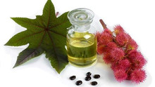 Castor Oil