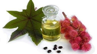 Castor Oil