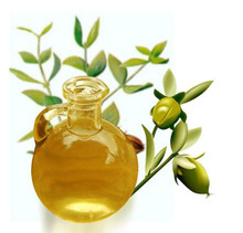 Jojoba Oil - Gloden