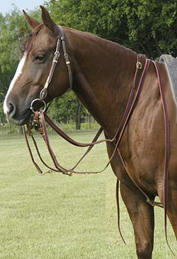 Size:Full Color:Havana Misc. Shires German Martingale