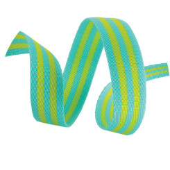 Tula Pink Webbing Lime and Turquoise 1" X 2yd #TKP-91-2Y-04 Checkers
