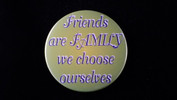 Friends Are Family We Choose Ourselves | 3 1/2" Magnet