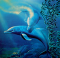 Dancing Dolphin Gutenberg Fine Art Print