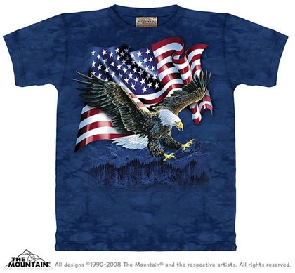 Eagle Talon Flag