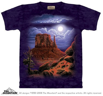 Desert Night Scape