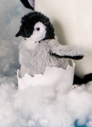 Pip Emperor Penguin Chick in egg shell