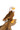 Colbertt Eagle