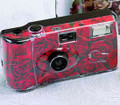 Disposable Camera, Red Rose