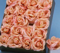 Peach Rose Floral Favor Box (Set of 20)