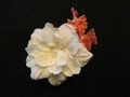 Ivory and Coral Flower