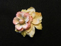 Gold and Pink Flower