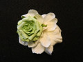 Ivory and Pale Green Flower