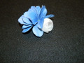 Blue Hydrangea Clip
