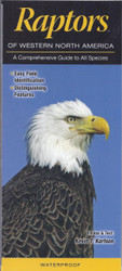 Field Guide for Raptors- West/North America