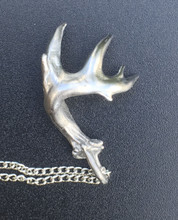 Single shed 10 pointer with two stickers. Half Dollar size. Stainless Steel