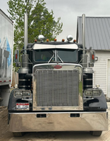 STAINLESS WIPER ARM SET PETERBILT 359