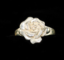 Full front view of solid sterling ring