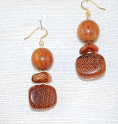 Close-up view of Earrings
