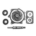 Water Pump Repair Kit (30-3366308)