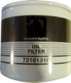 Transmission Filter (72161316)