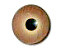 Blended Glass Eye - Hazel 9mm