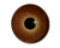Blended Glass Eye - Brown, medium - 9mm