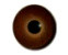 Blended Glass Eye - Brown, dark - 9mm