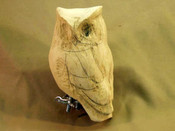 Roughout - Owl  Screech 