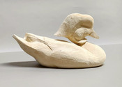 Roughout - Wood Duck  (head back)