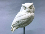 Study Cast - Owl, Screech