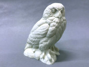 Study Cast - Owl, Snowy