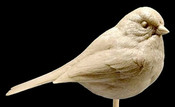 Study Cast - Sparrow, Tree
