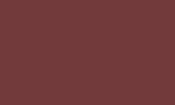 Traditions Acrylic Paint - Brown Madder