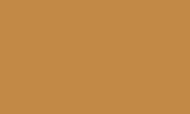 Traditions Acrylic Paint - Raw Sienna (limit one tube per order)