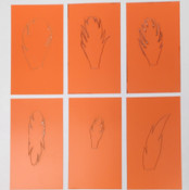 Feather Stencils - Feather Shapes