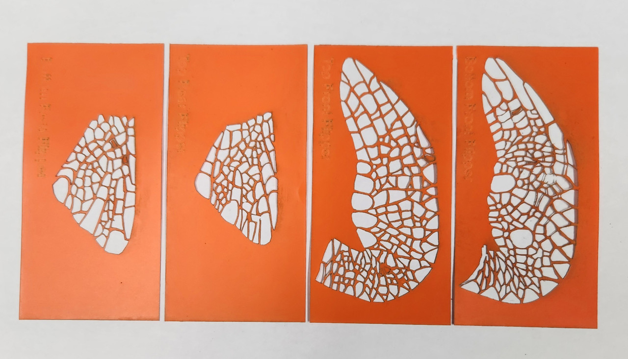 Sea Turtle Fin Stencils