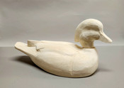 Roughout - Wood Duck (head forward)