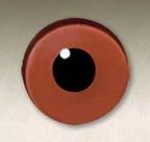 Glass Eyes - 8mm Hazel (flat back)